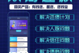 桂阳为什么选择专业追讨公司来处理您的债务纠纷？